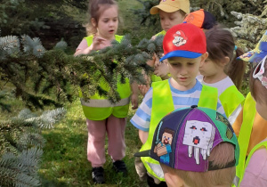 Dzieci przy gałęziach jodły