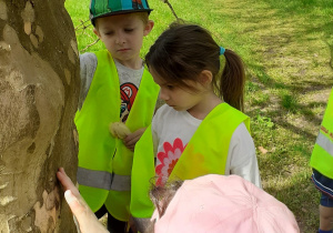 Dzieci dotykają kory drzewa