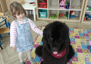 dziewczynka dotyka dużego psa