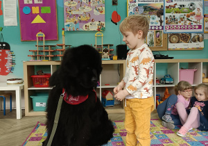 chłopiec stoi obok psa, a pies siedzi i ma przypiętą smycz