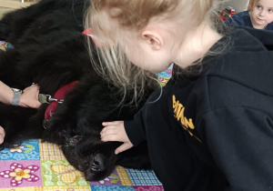 dziewczynka dotyka głowy psa