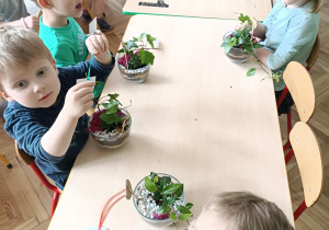 dzieci siedzą przy stolikach, na stolikach stoją słoje z roślinami