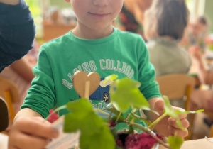 chłopiec dotyka swoją roślinę