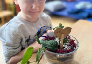 chłopiec siedzi, na stole stoi roślina