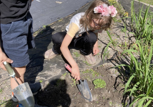 dziewczynka sadzi swoją roślinę na skalniaku