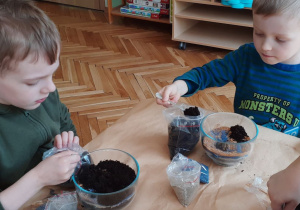 Chłopcy nasypują ziemię do naczyń za pomocą łyżki